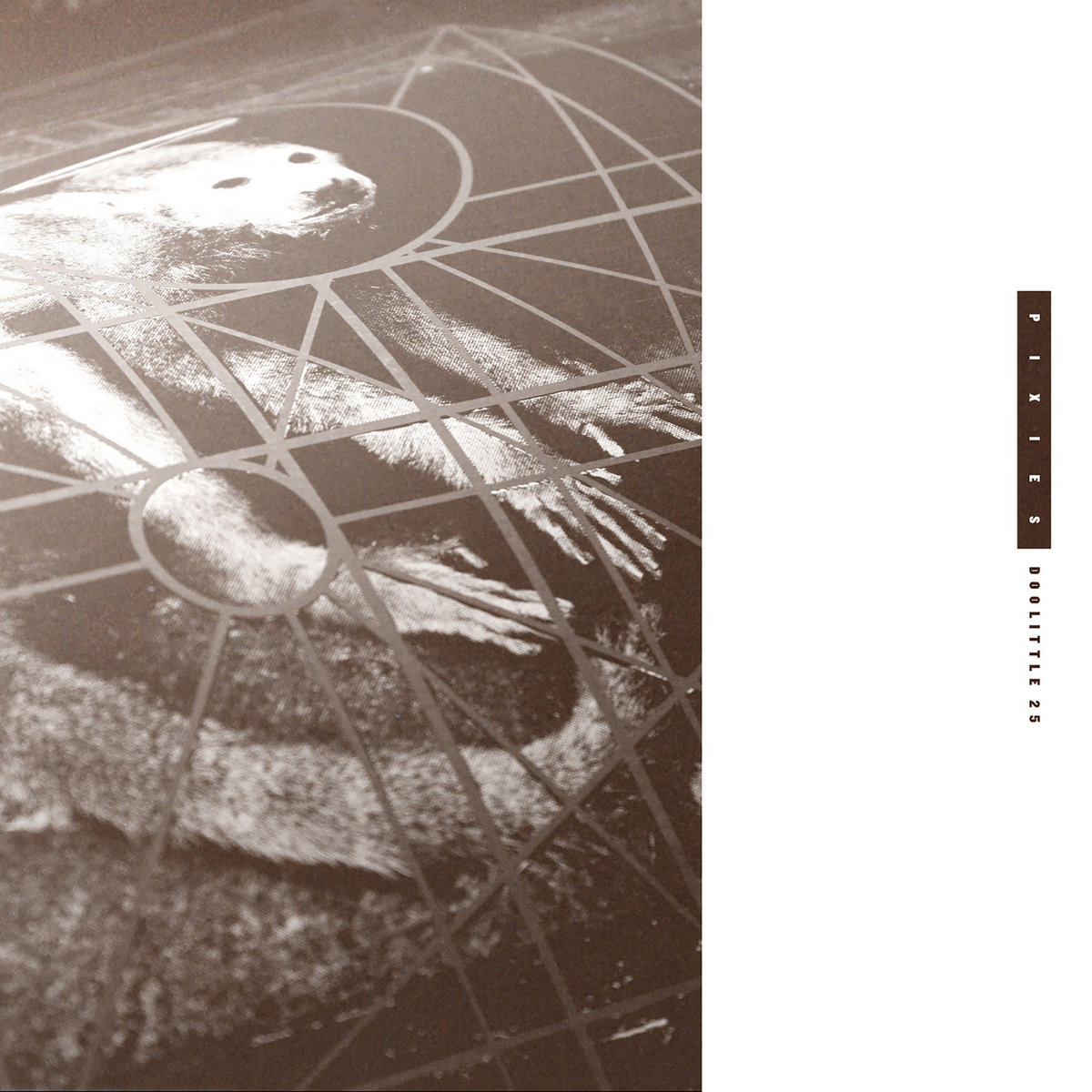 Doolittle 25: B-Sides, Peel Sessions And Demos cover art