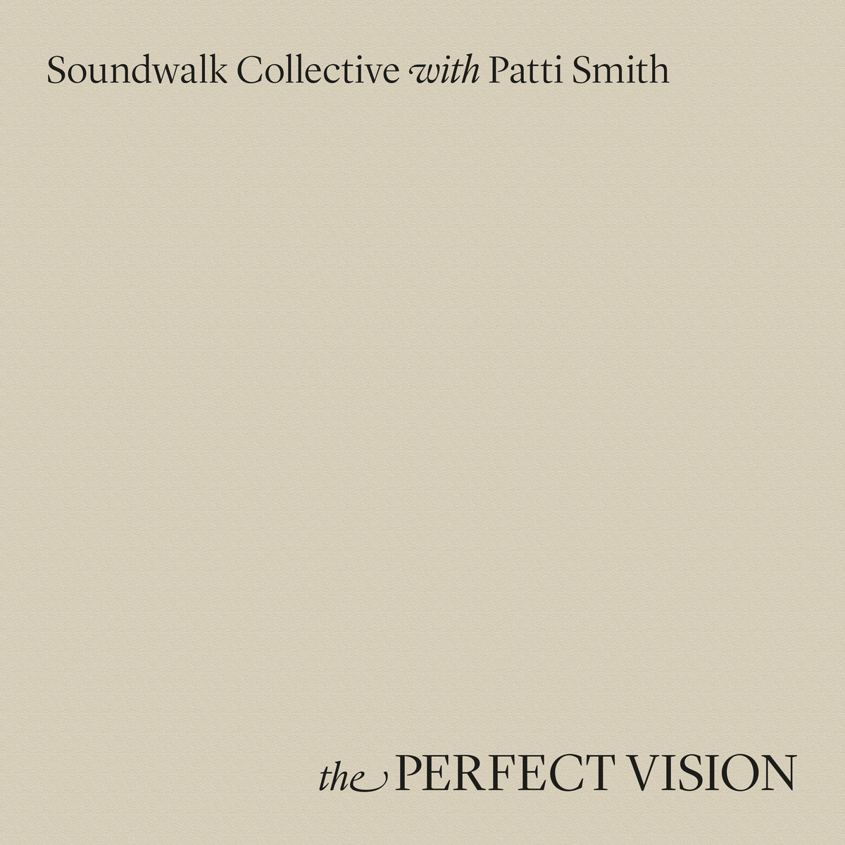 The Perfect Vision: Reworkings cover art