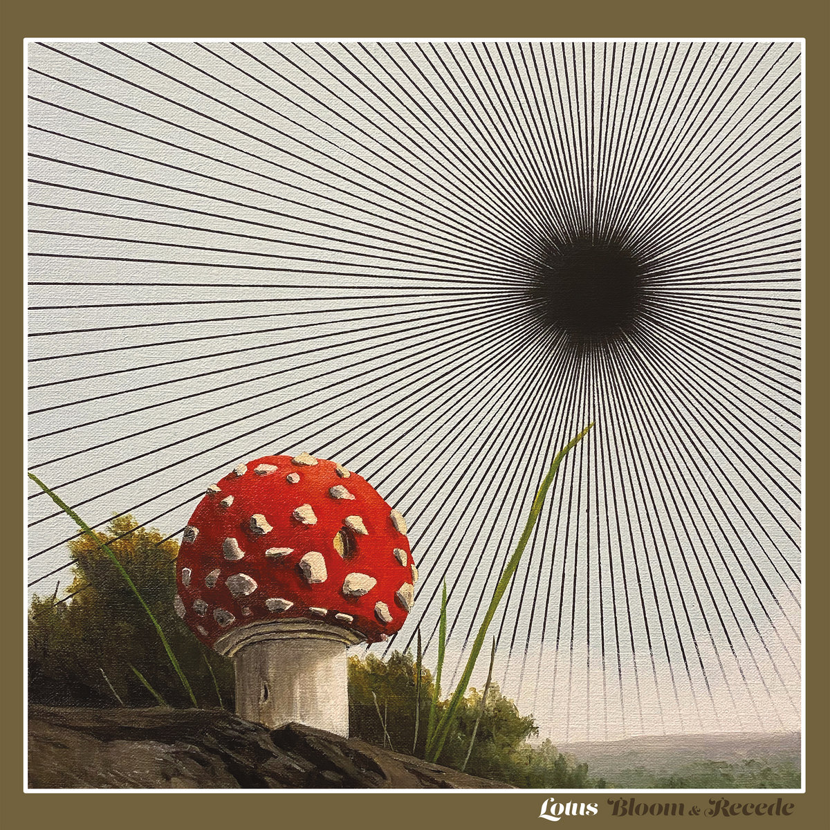 Bloom & Recede cover