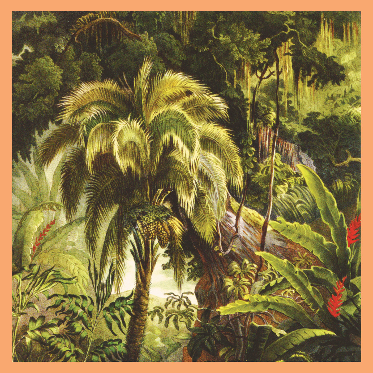La For​ê​t (2024) cover art
