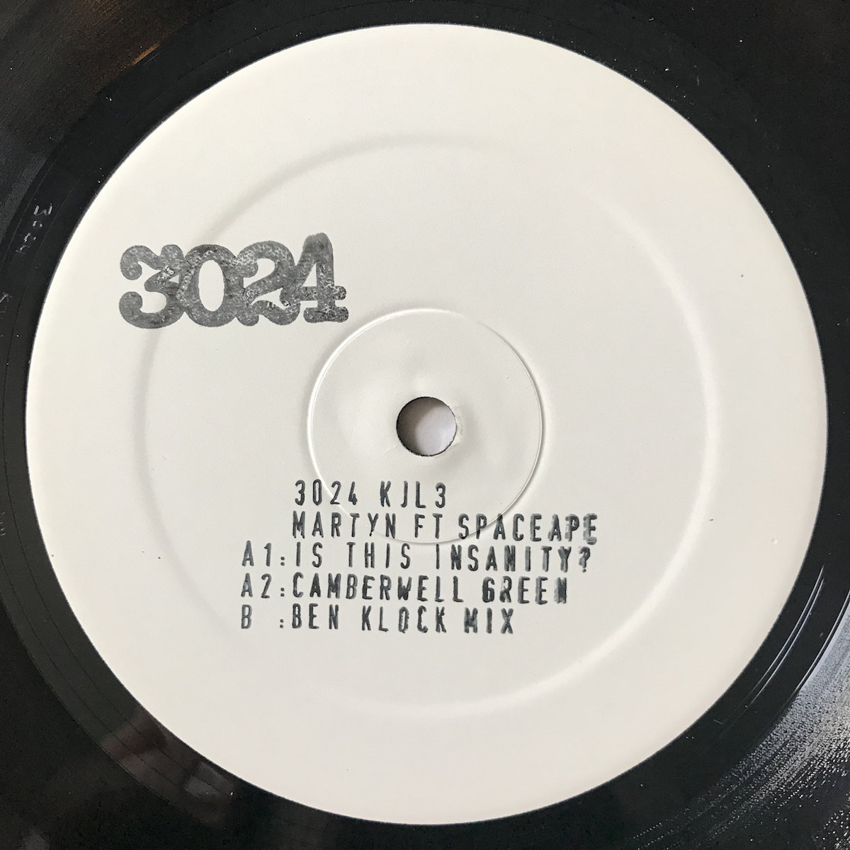 Is This Insanity? (3024-KJL3) cover art