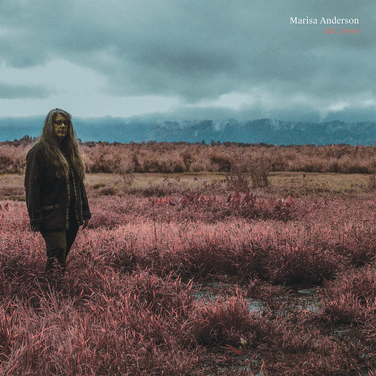 Still, Here cover art