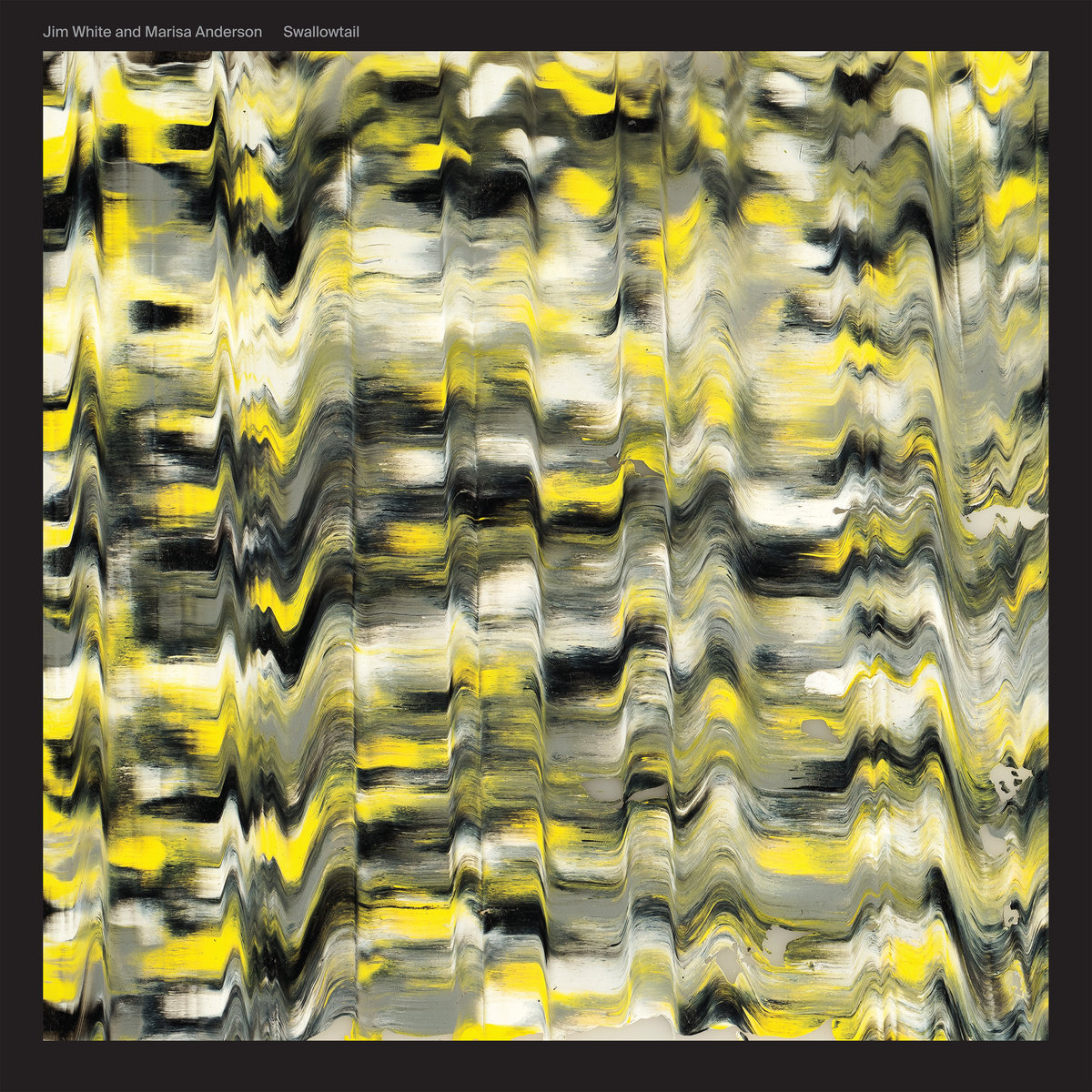 Swallowtail cover art