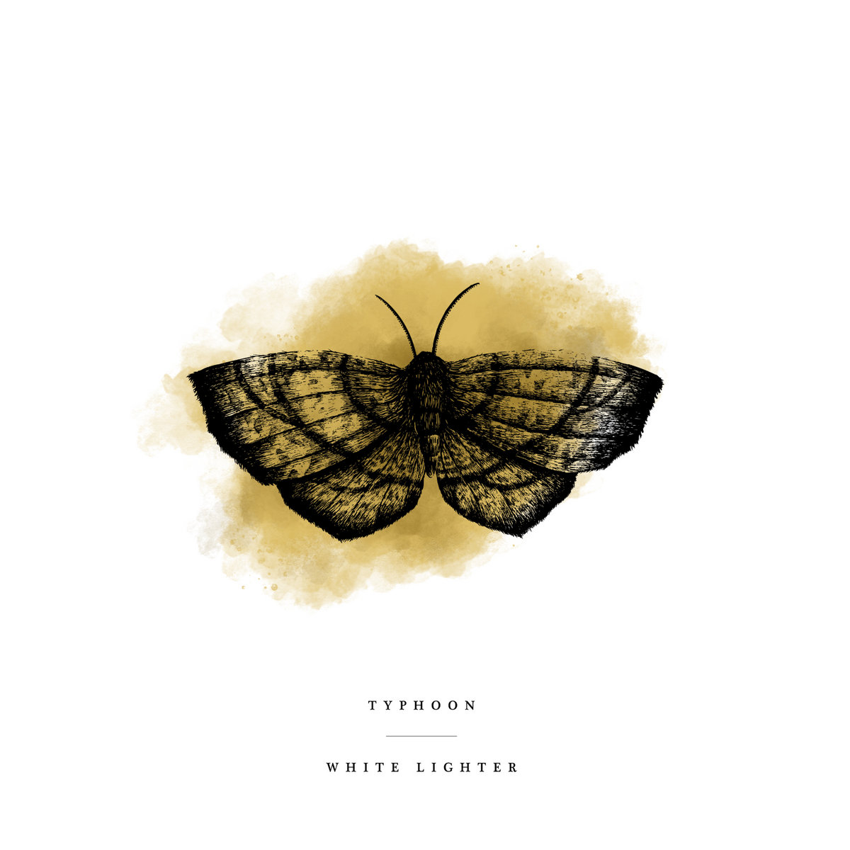 White Lighter - 10th Anniversary Edition cover