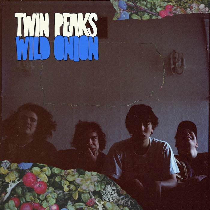 Wild Onion cover art