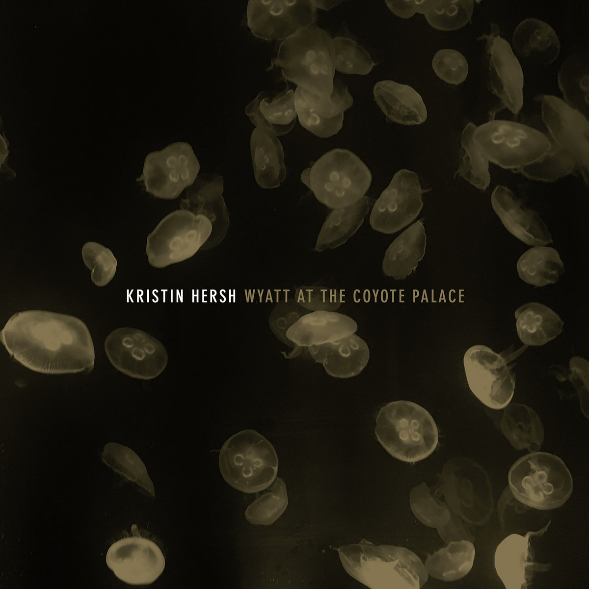 Wyatt at the Coyote Palace cover