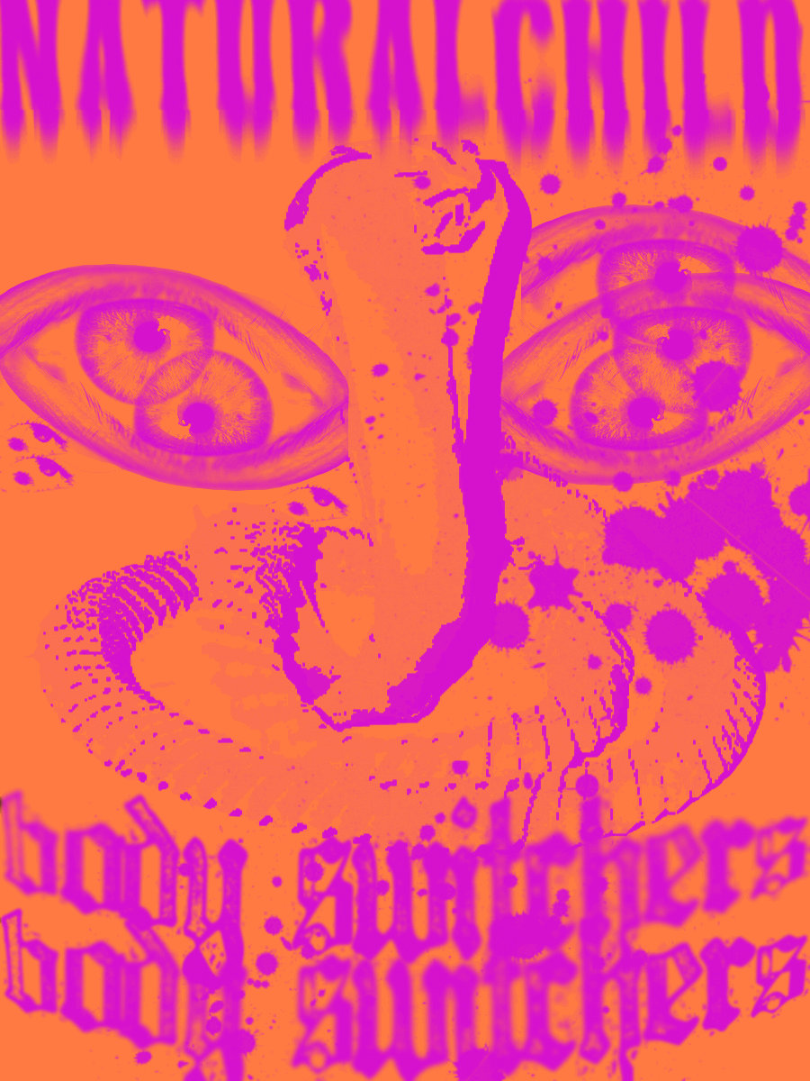 Bodyswitchers cover art