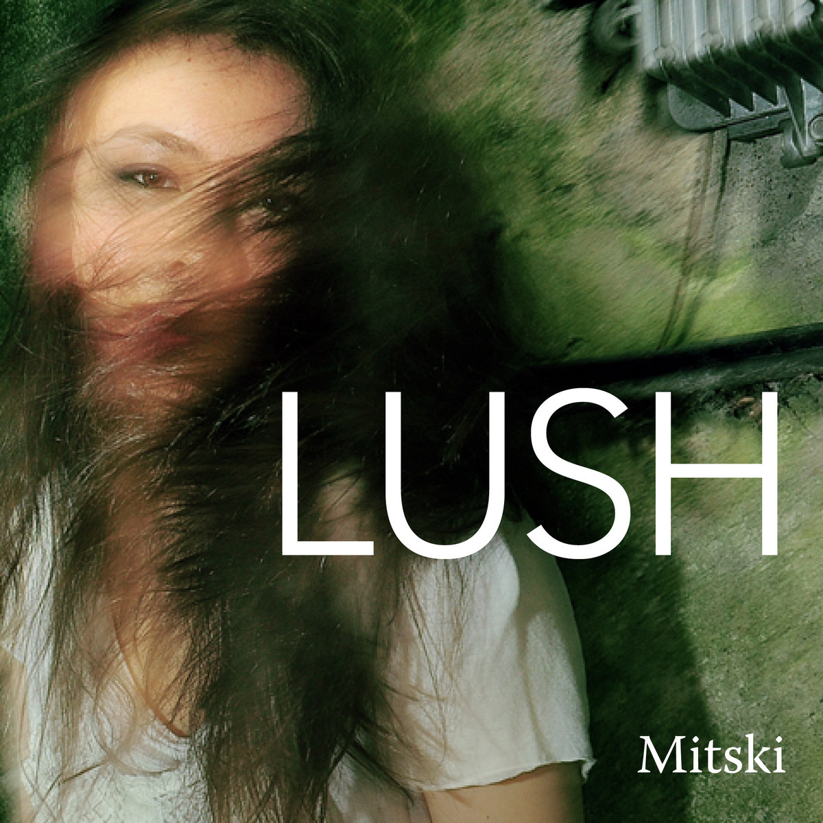 LUSH cover art