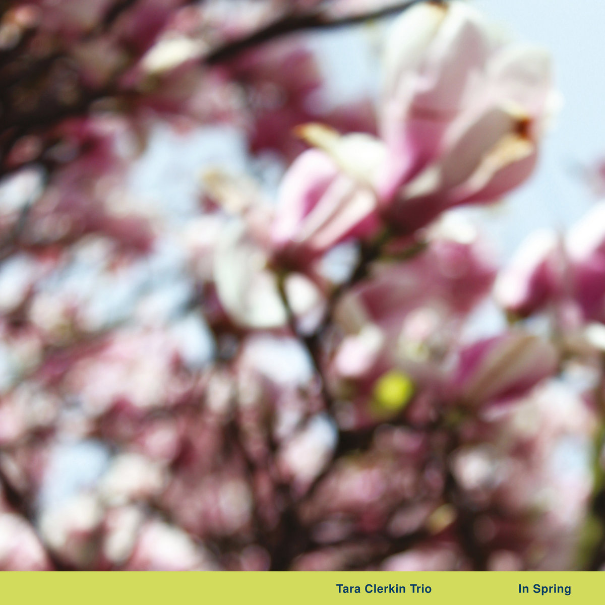 In Spring cover