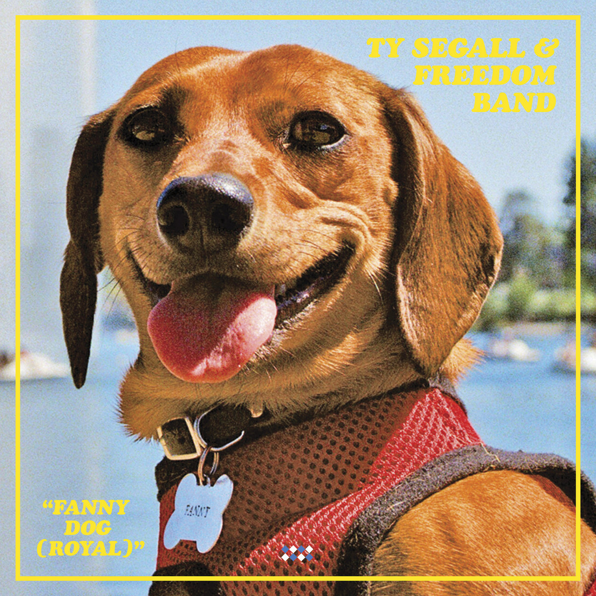 Fanny Dog (Royal) cover art