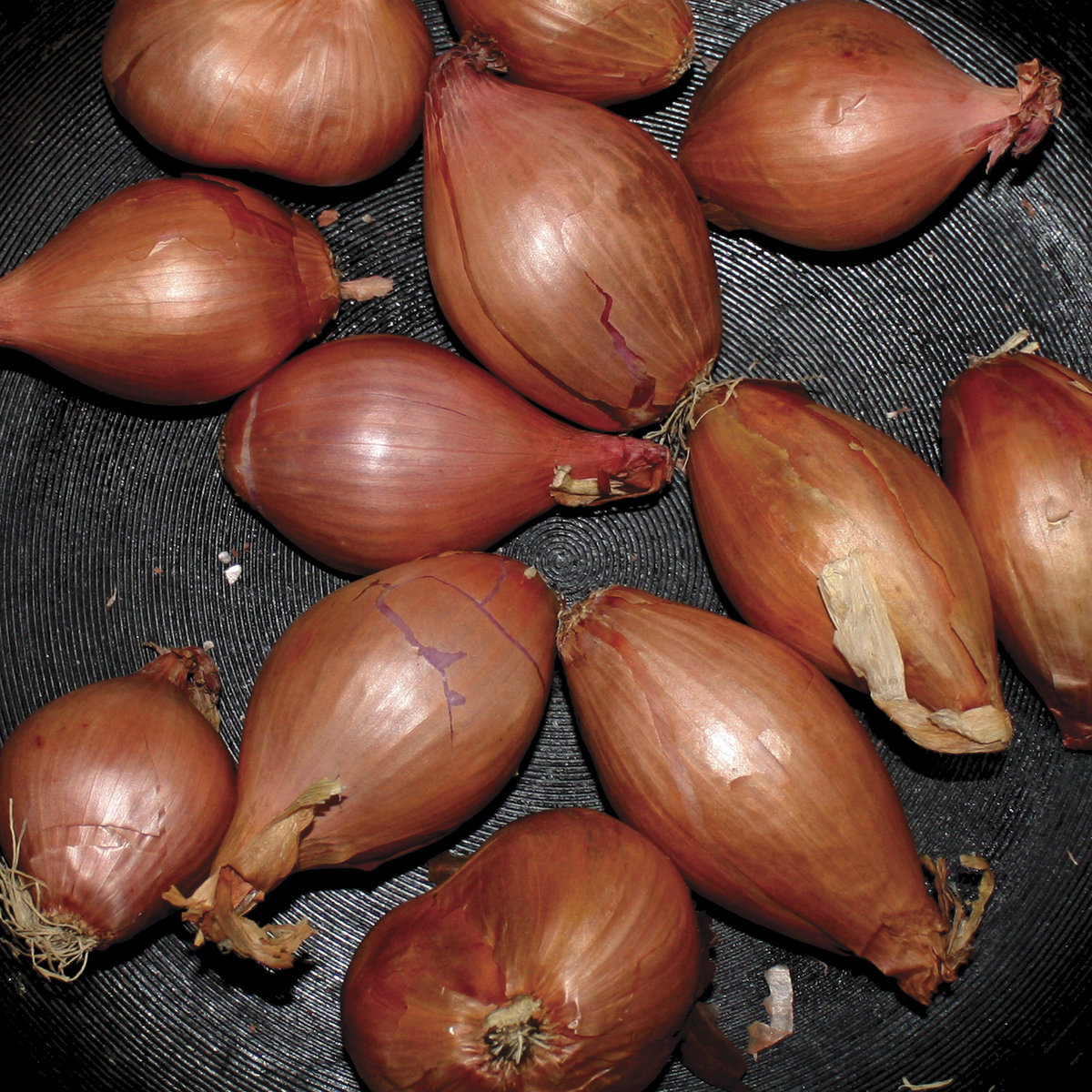 Fried Shallots cover art