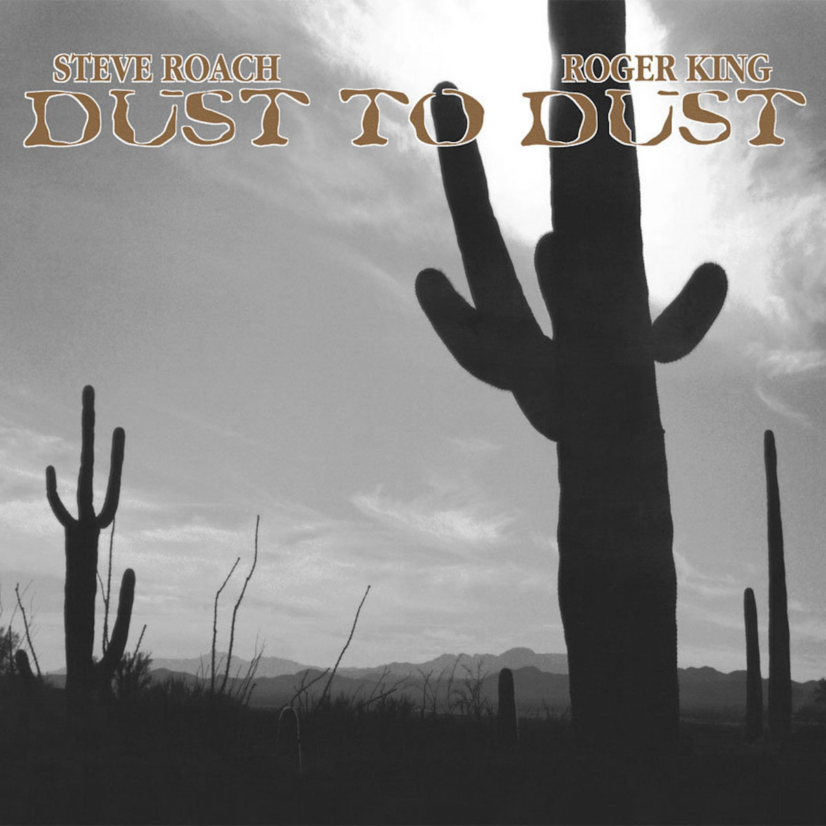 Dust to Dust cover art