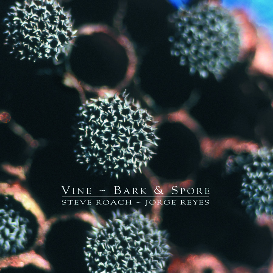 Vine, Bark & Spore -Steve Roach - Jorge Reyes cover art