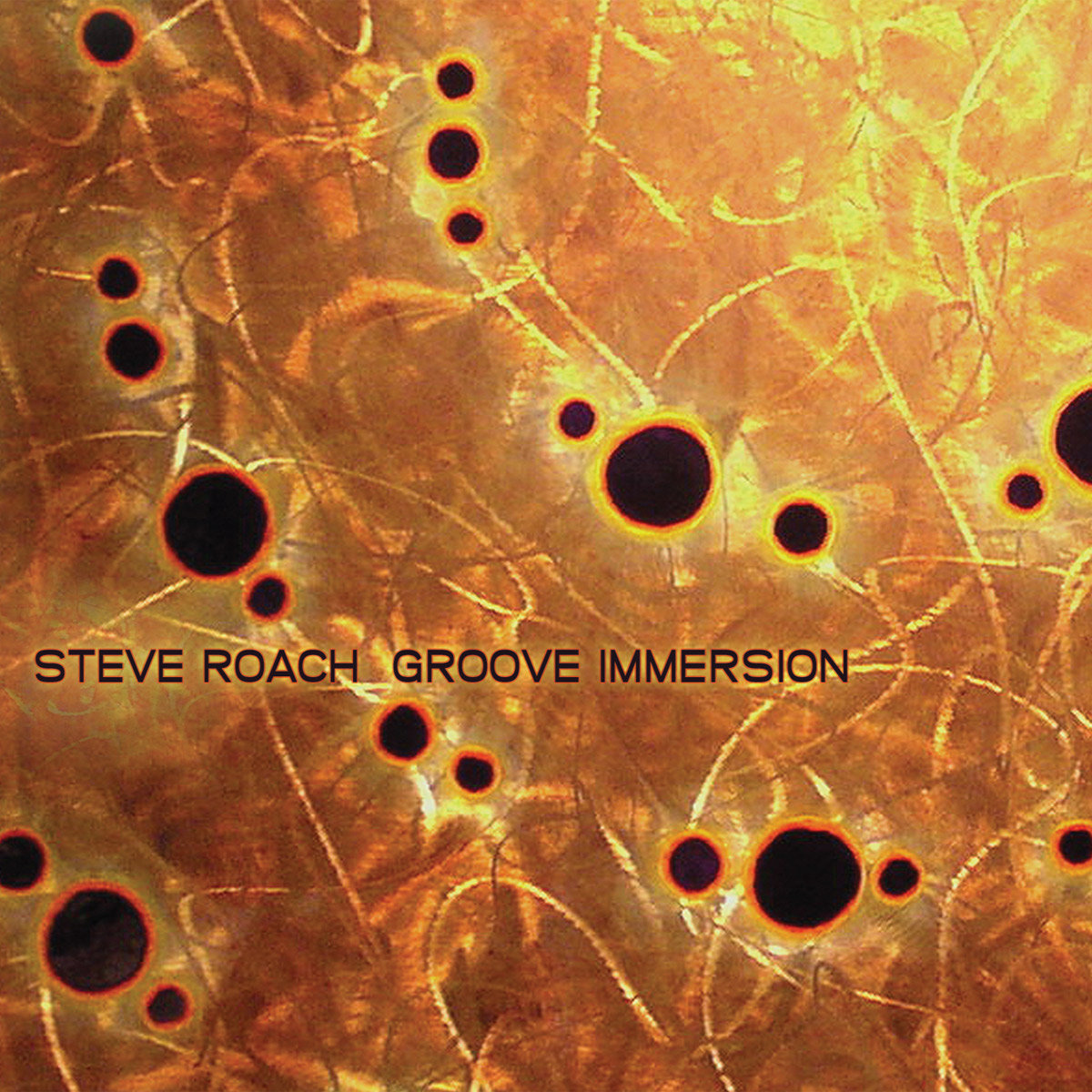Groove Immersion cover art