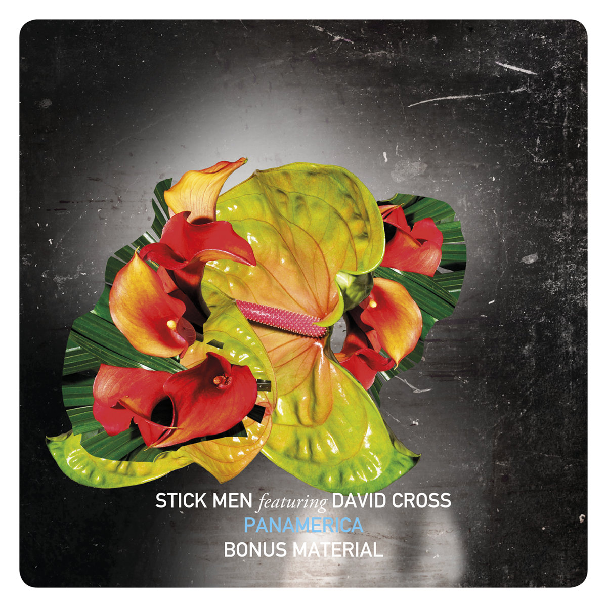 PANAMERICA Bonus Tracks cover art