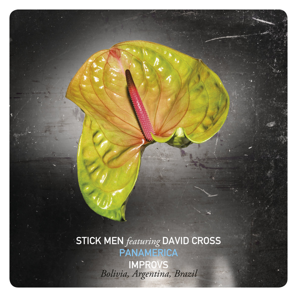 PANAMERICA (Disc 1): Improvs (Bolivia, Argentina, Brazil) cover art