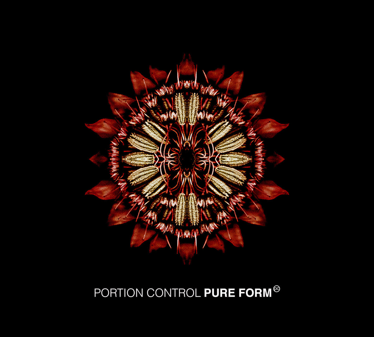 PURE FORM cover art