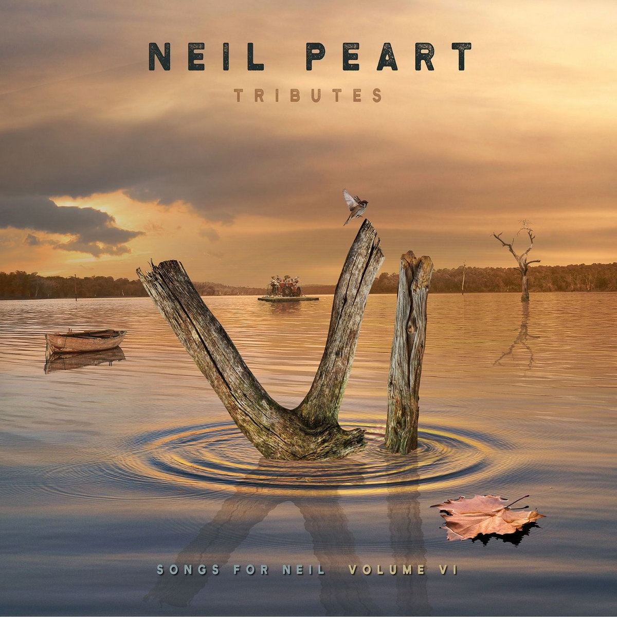 TRIBUTES - Songs for Neil Vol.VI cover art