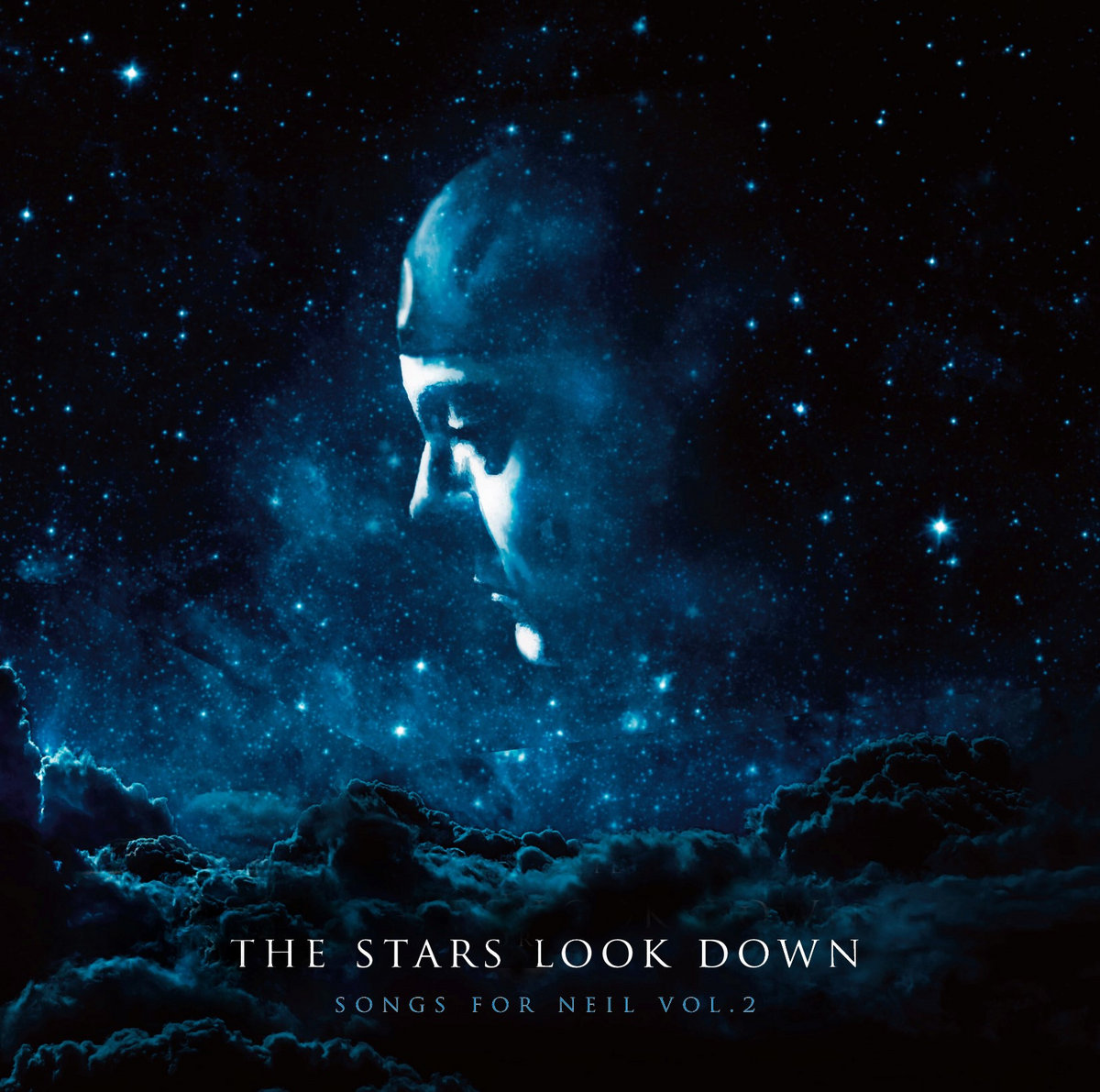 The Stars Look Down - Songs for Neil Vol.2 cover art