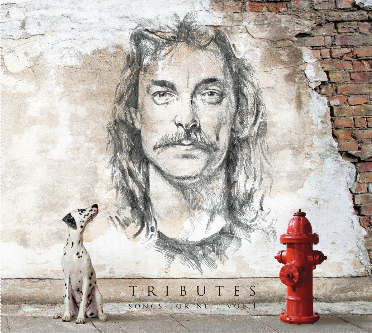 TRIBUTES - Songs for Neil Vol.1 cover art
