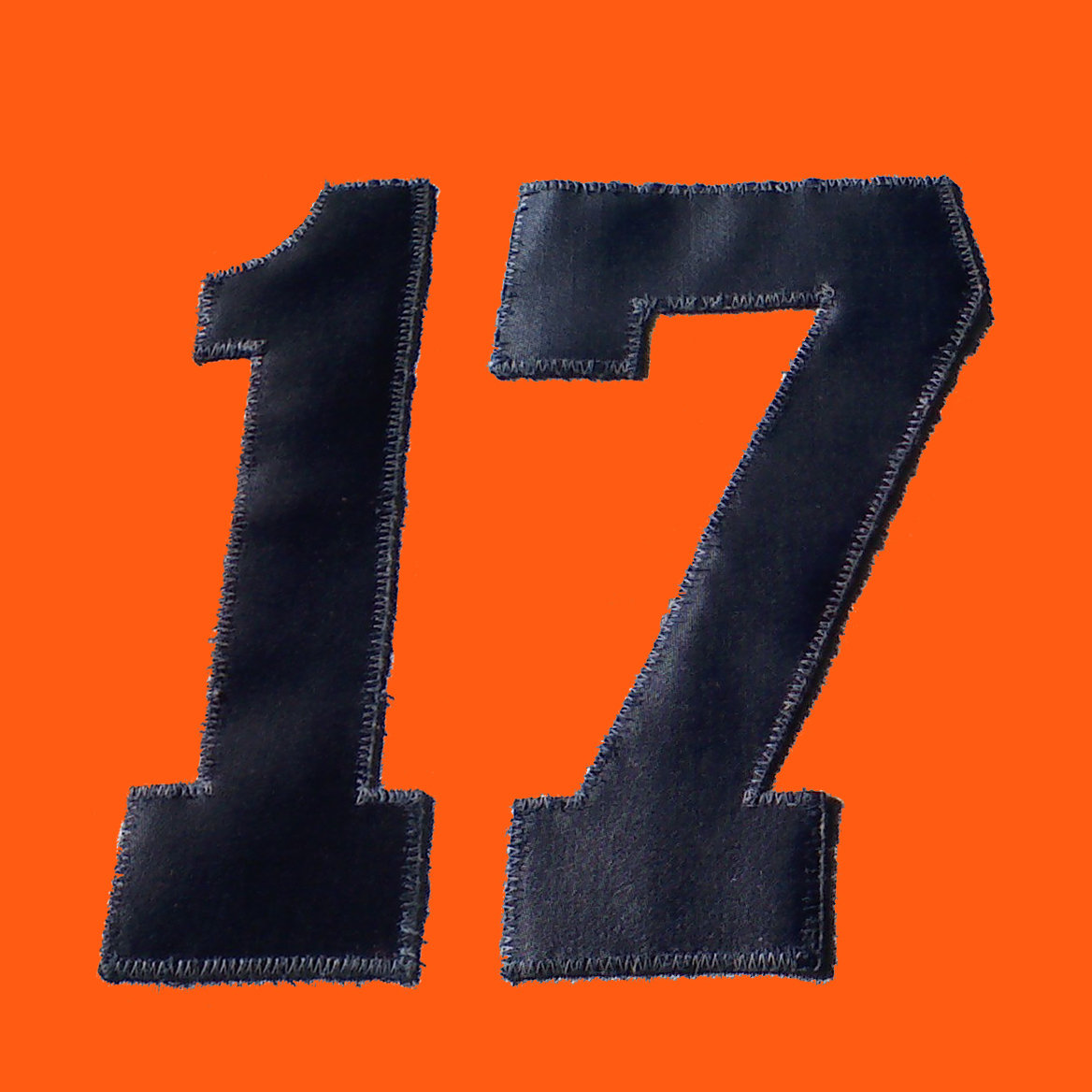 vol. 17  (2005-2009) cover