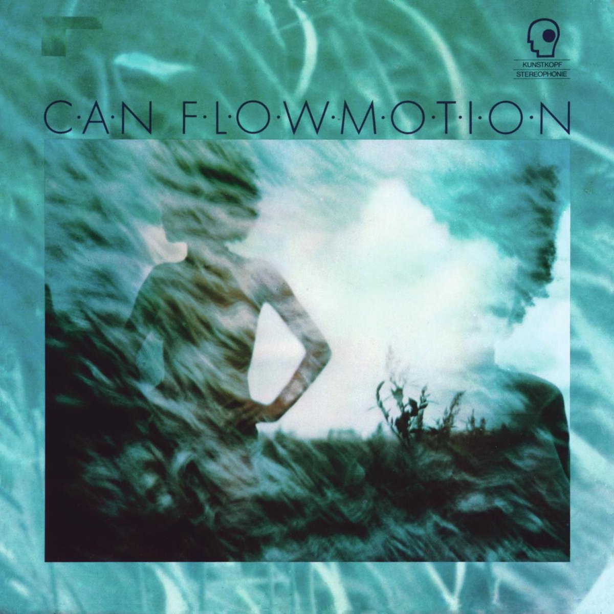 Flow Motion cover art