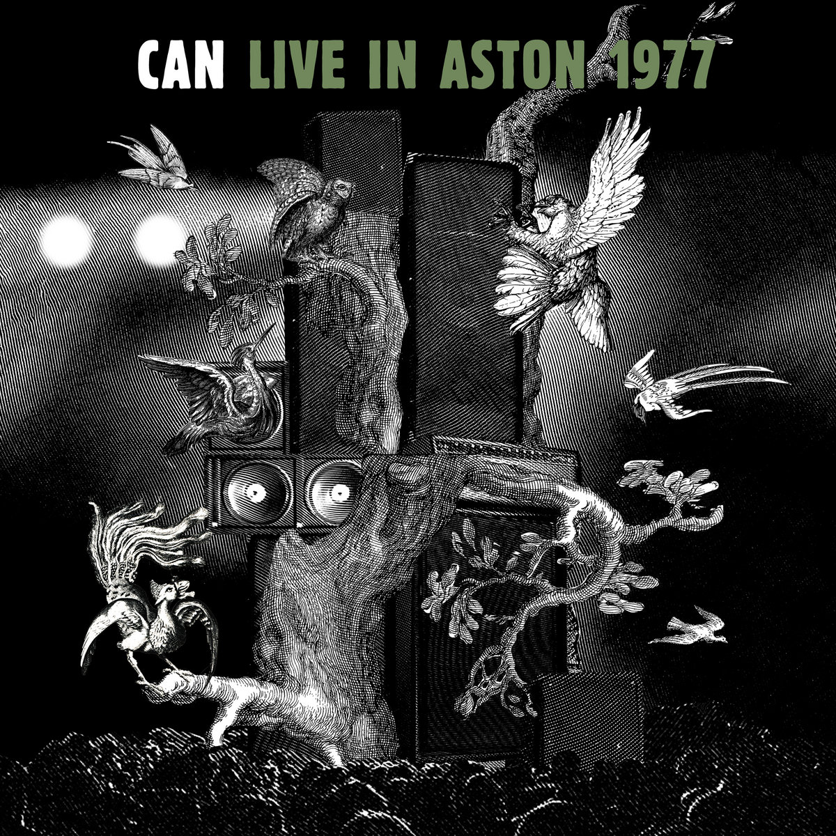 LIVE IN ASTON 1977 cover art