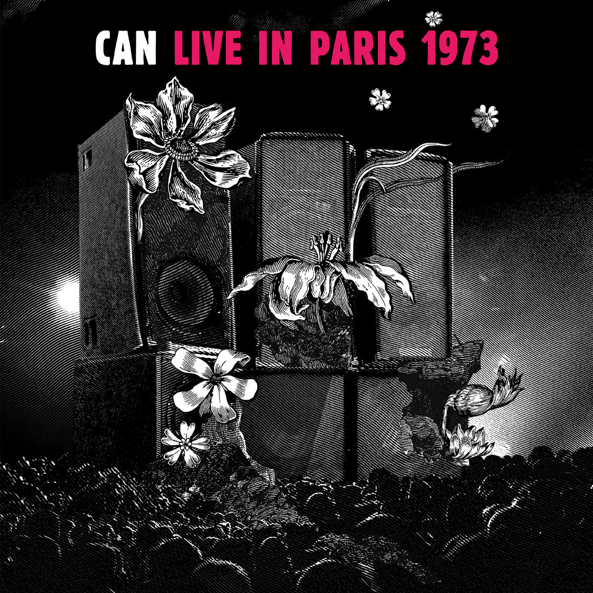LIVE IN PARIS 1973 cover art