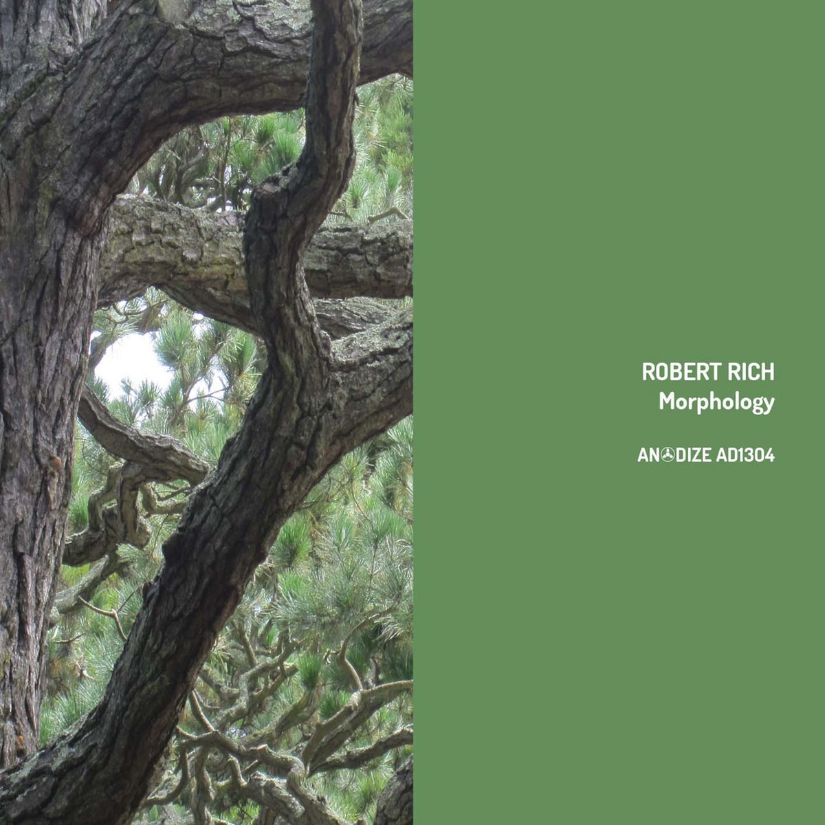Morphology (Live at One Thousand Pulses, May 15, 2010) cover