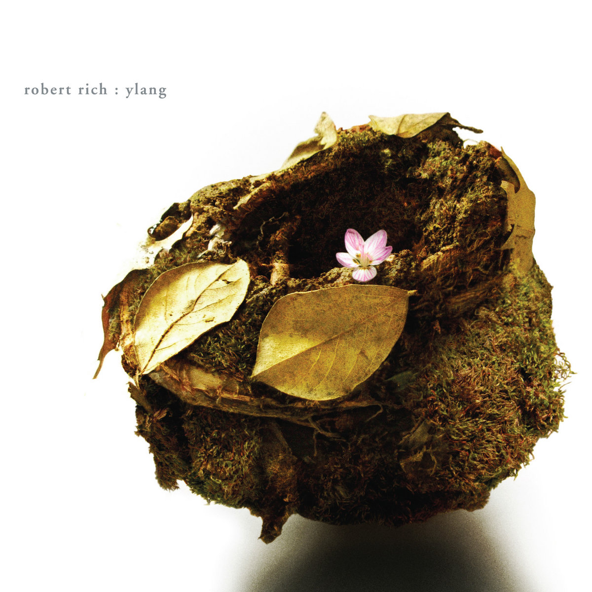 Ylang cover