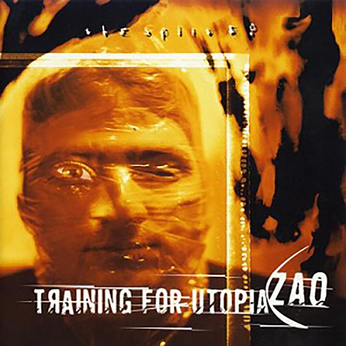 Zao/Training For Utopia Split cover