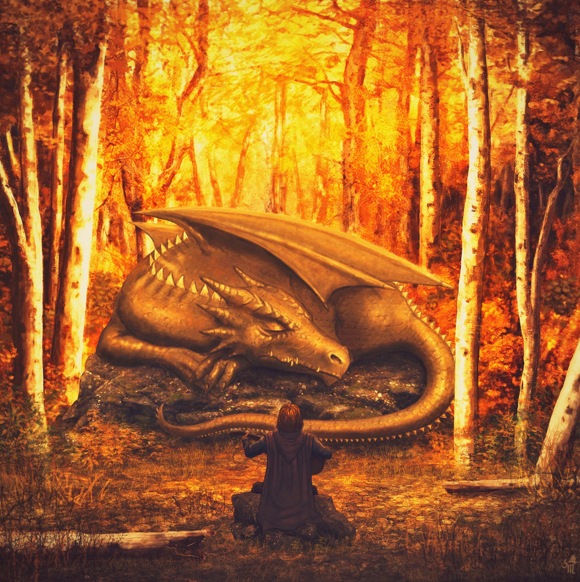 V cover