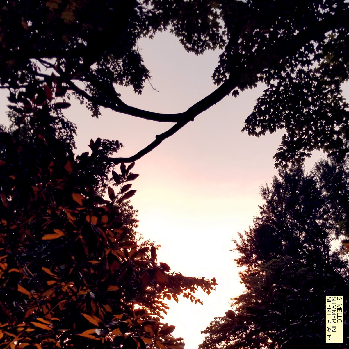 Summer In Silent Places cover