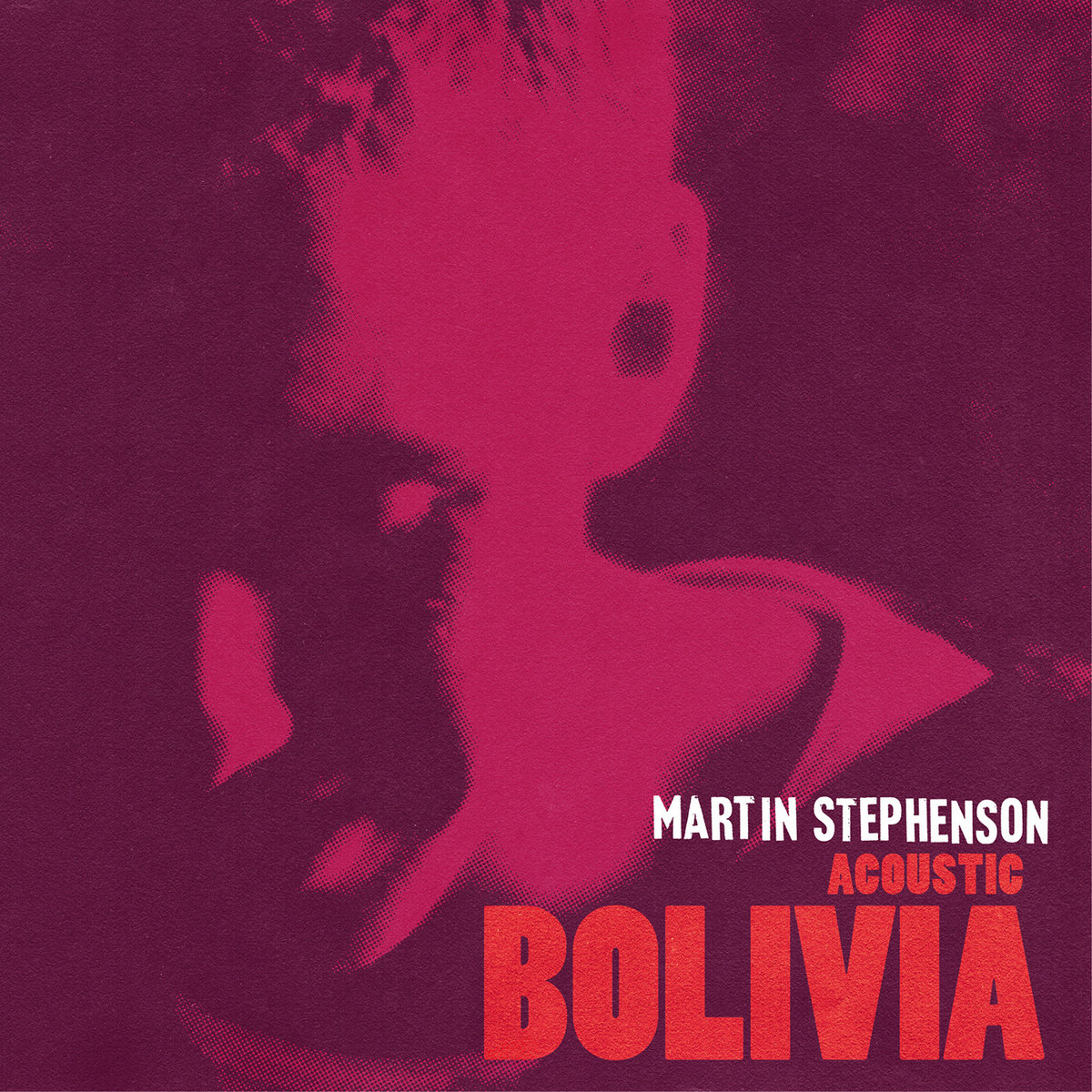 "Bolivia" (Acoustic) cover