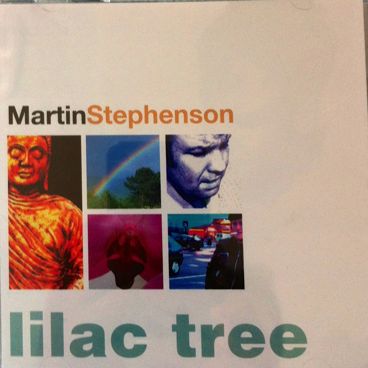 Lilac tree cover
