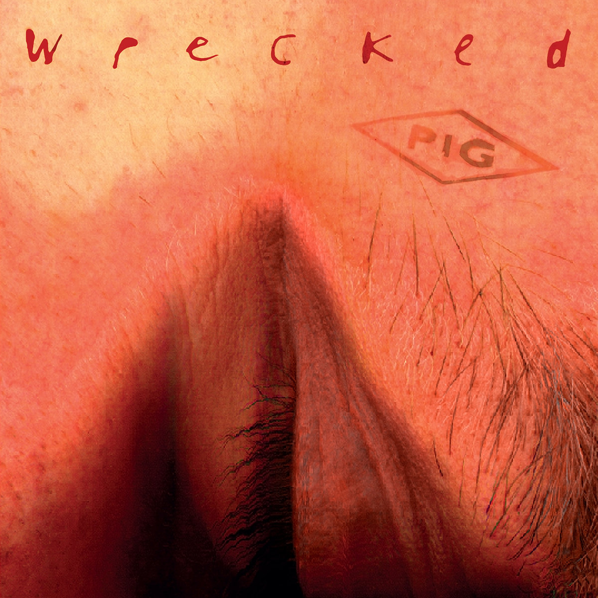 Wrecked (2024 Remaster) cover