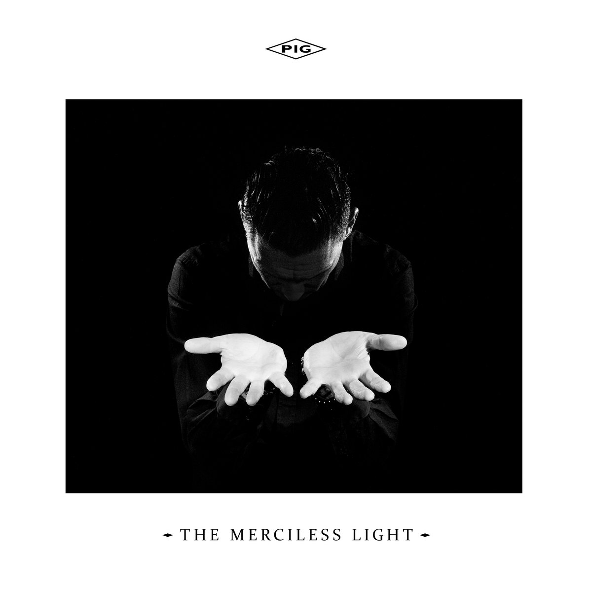 The Merciless Light cover