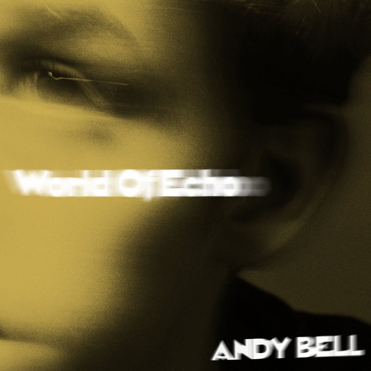 World Of Echo cover
