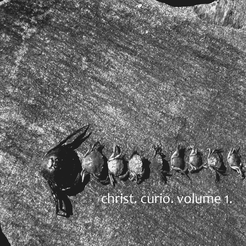 curio. volume1. cover