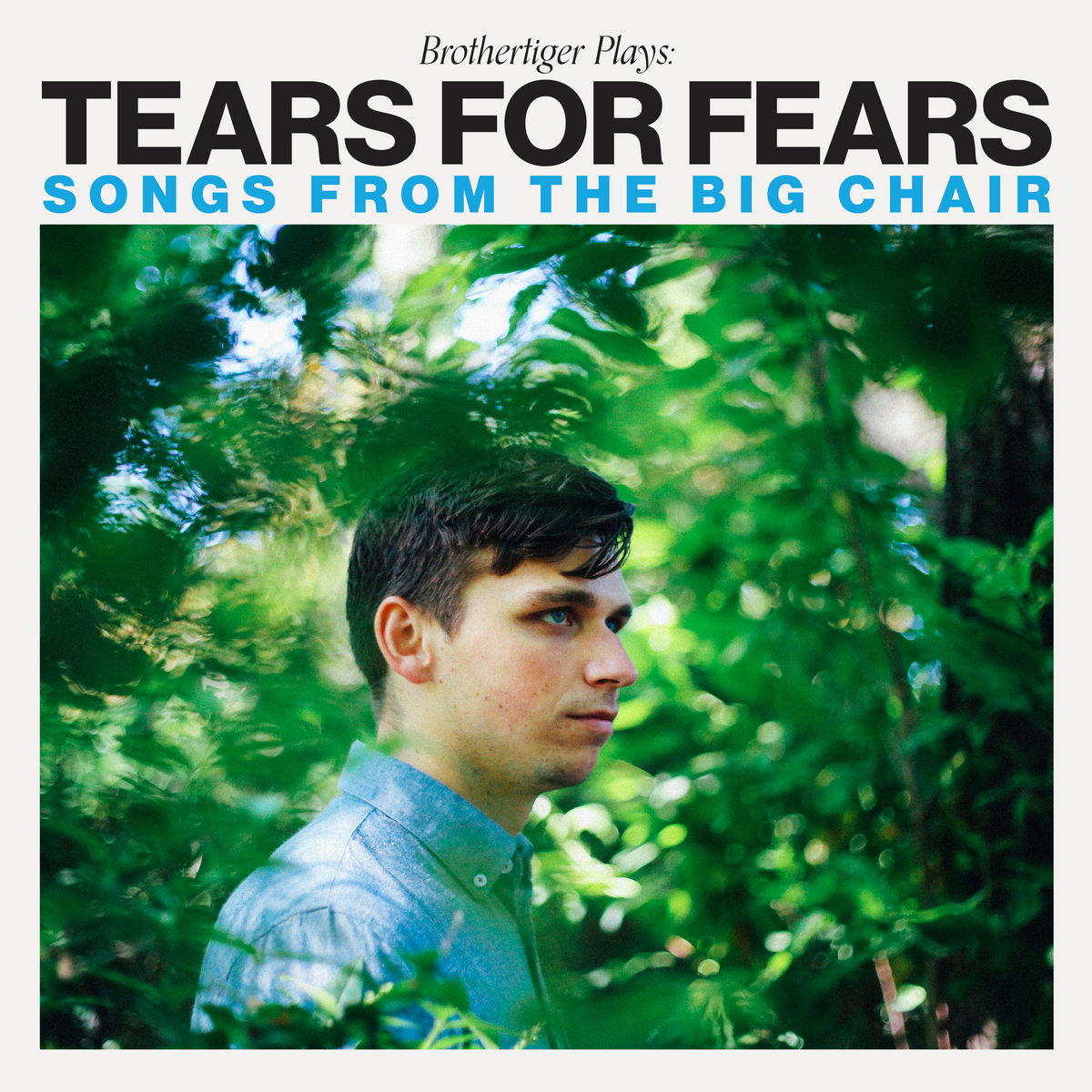 Brothertiger Plays: Tears for Fears' Songs From the Big Chair cover