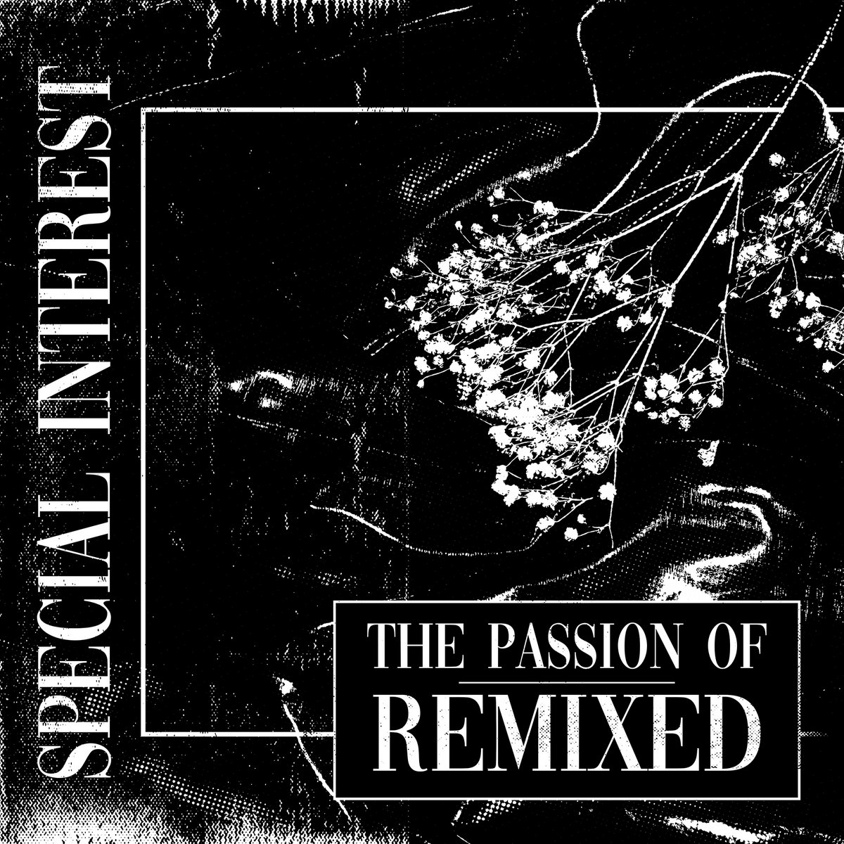 The Passion Of: Remixed cover art