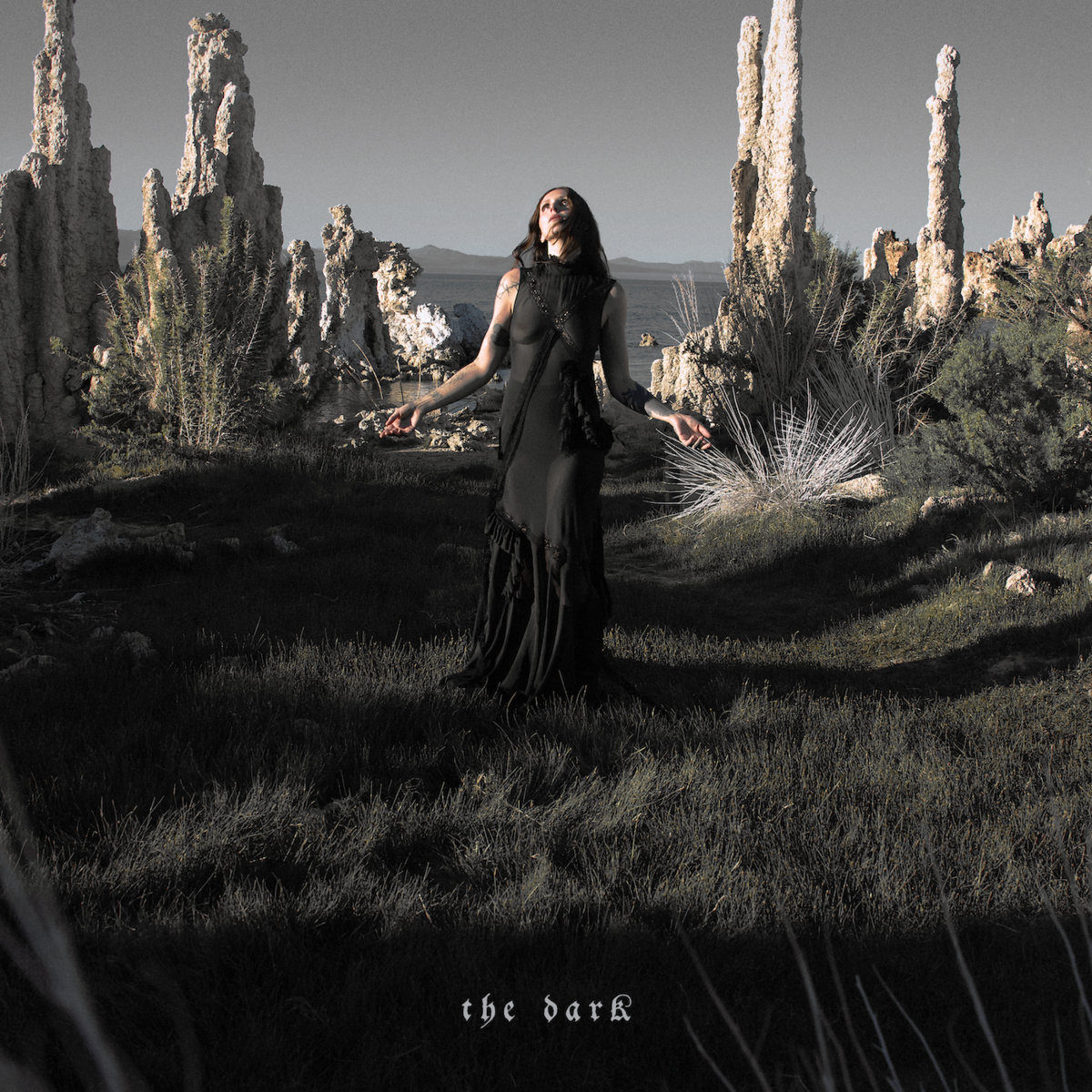 The Dark cover art