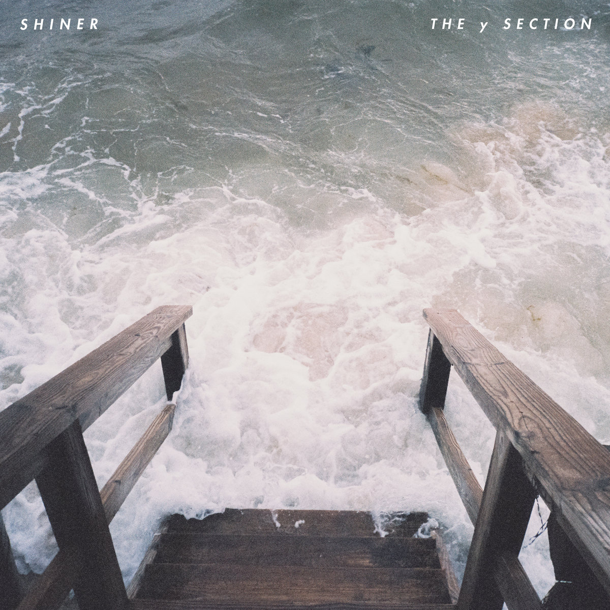 The Y Section cover