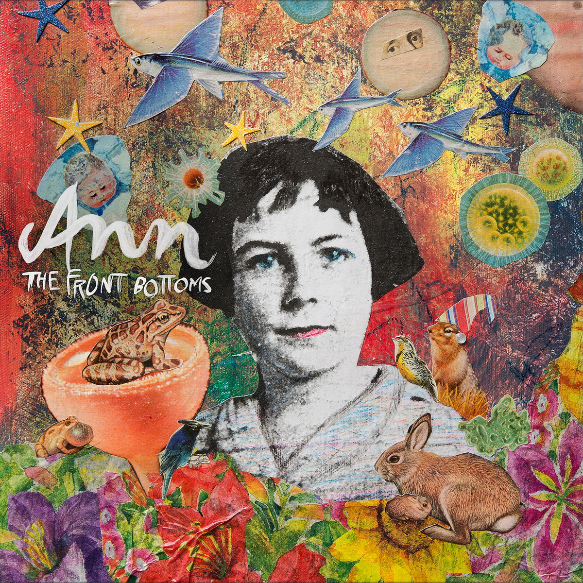 Ann cover art