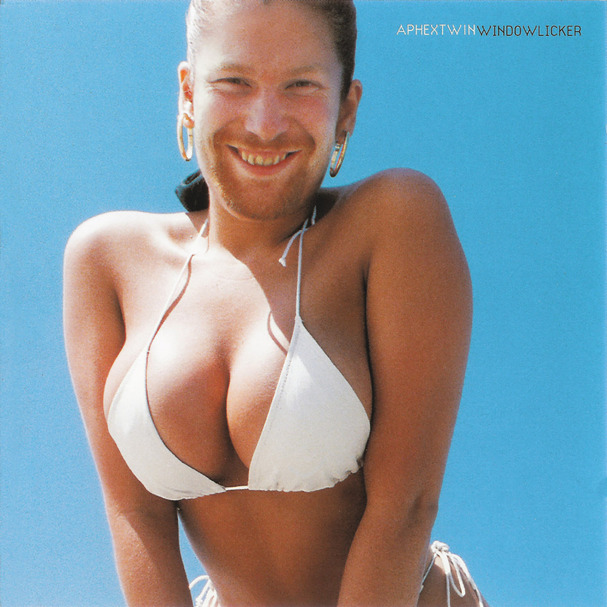 Windowlicker cover