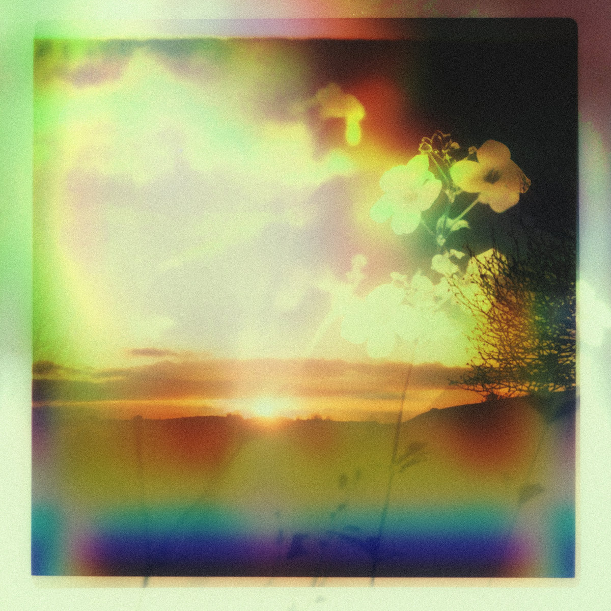 Sage EP cover art