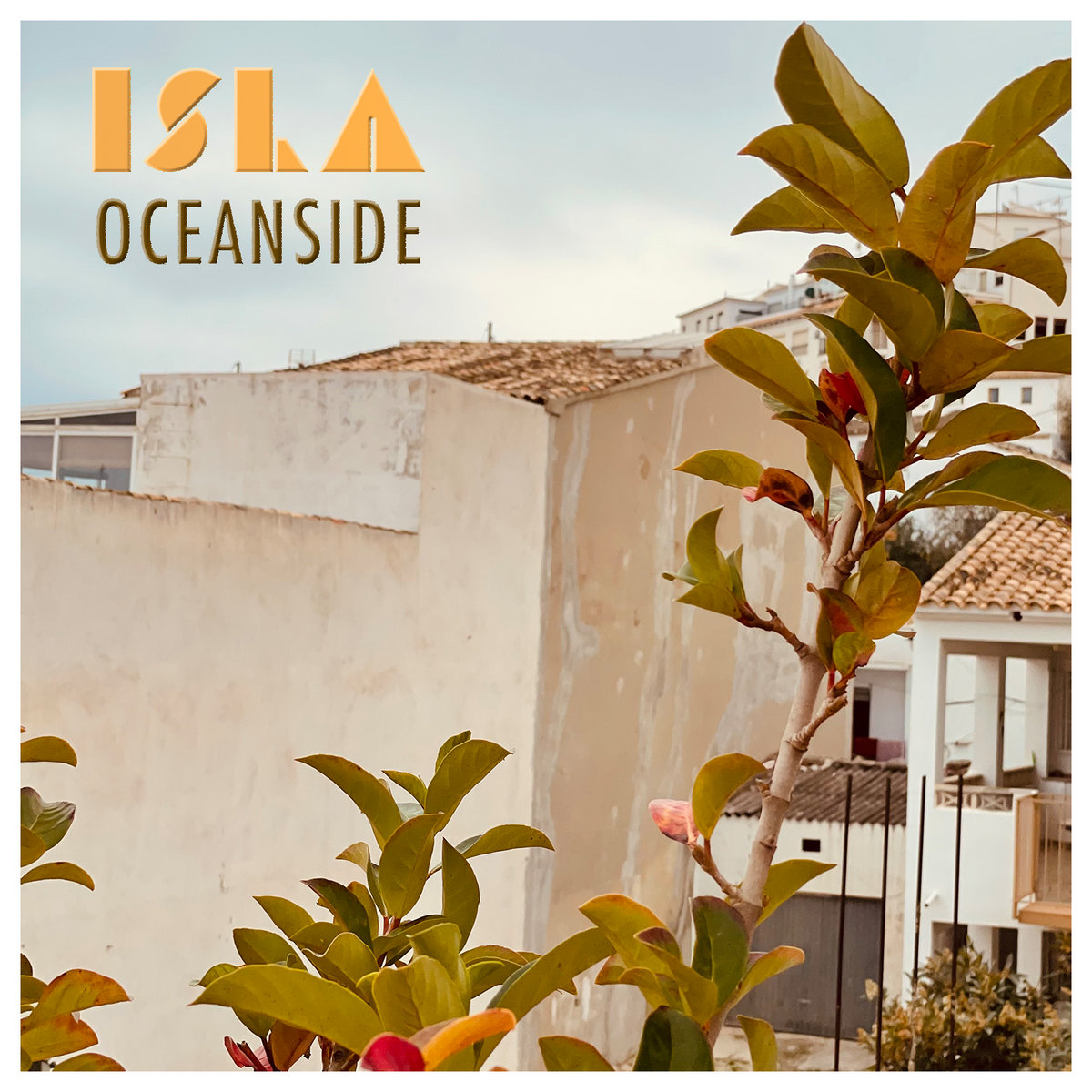 Oceanside cover