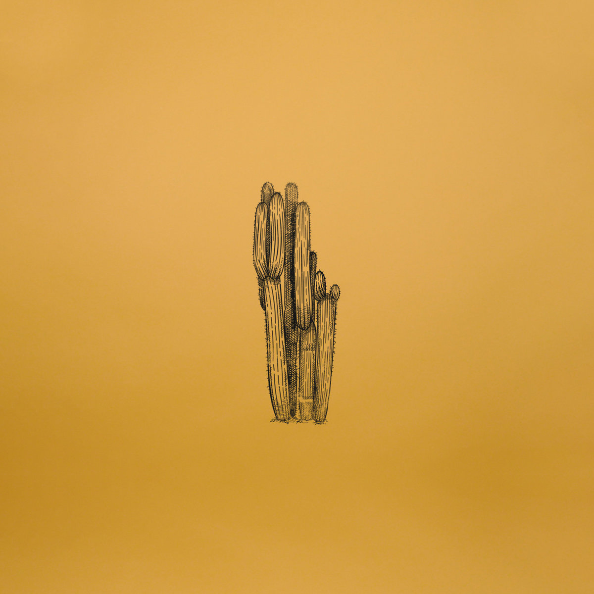 Now You Know EP cover