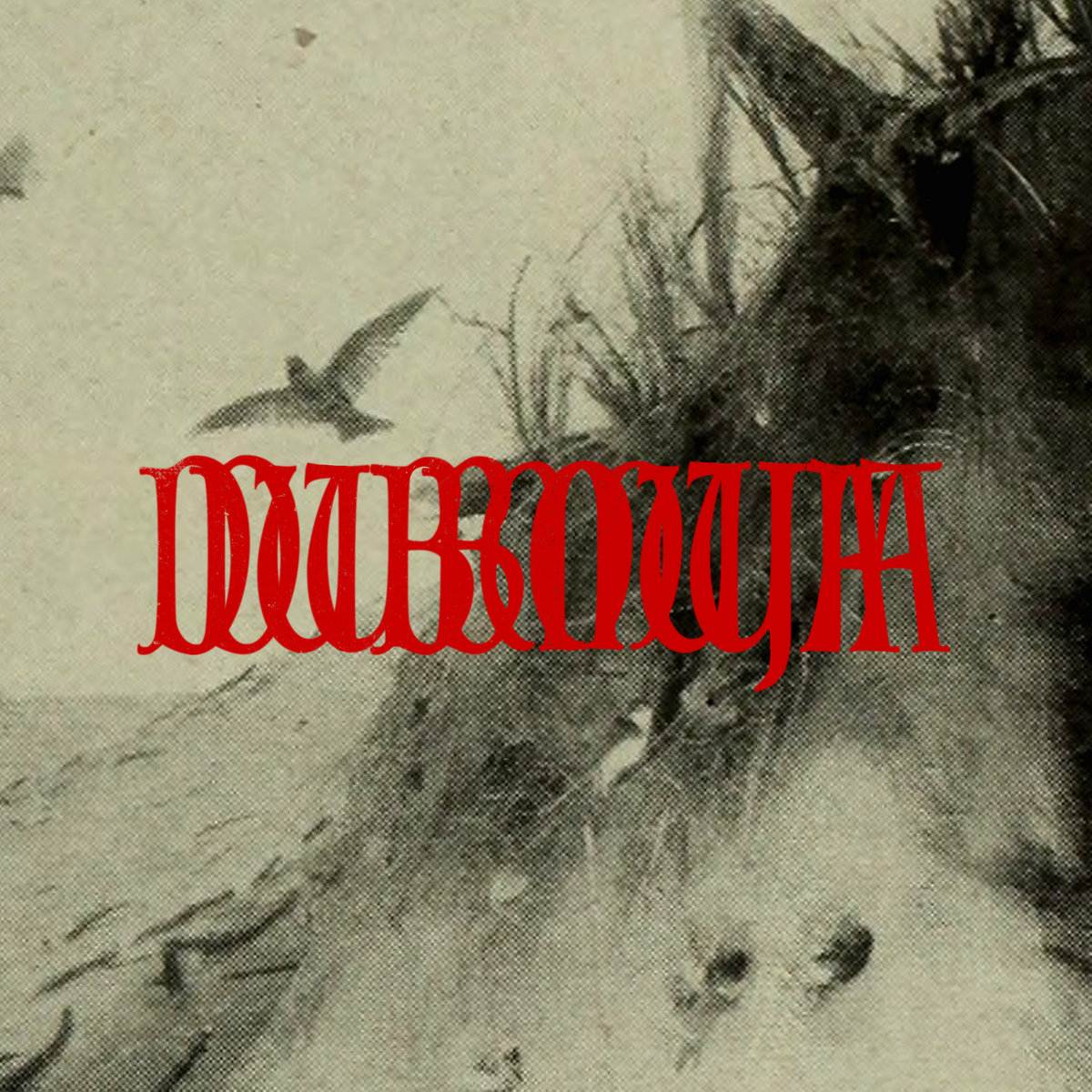 Dubmuja 002 cover