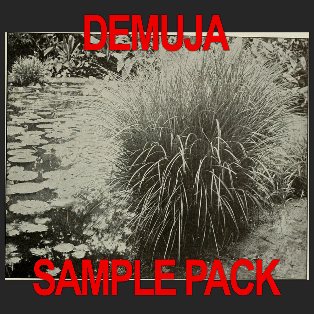 DEMUJA SAMPLE PACK cover